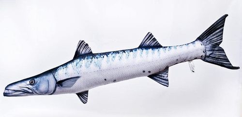 Barracuda - Kissen 110cm lang